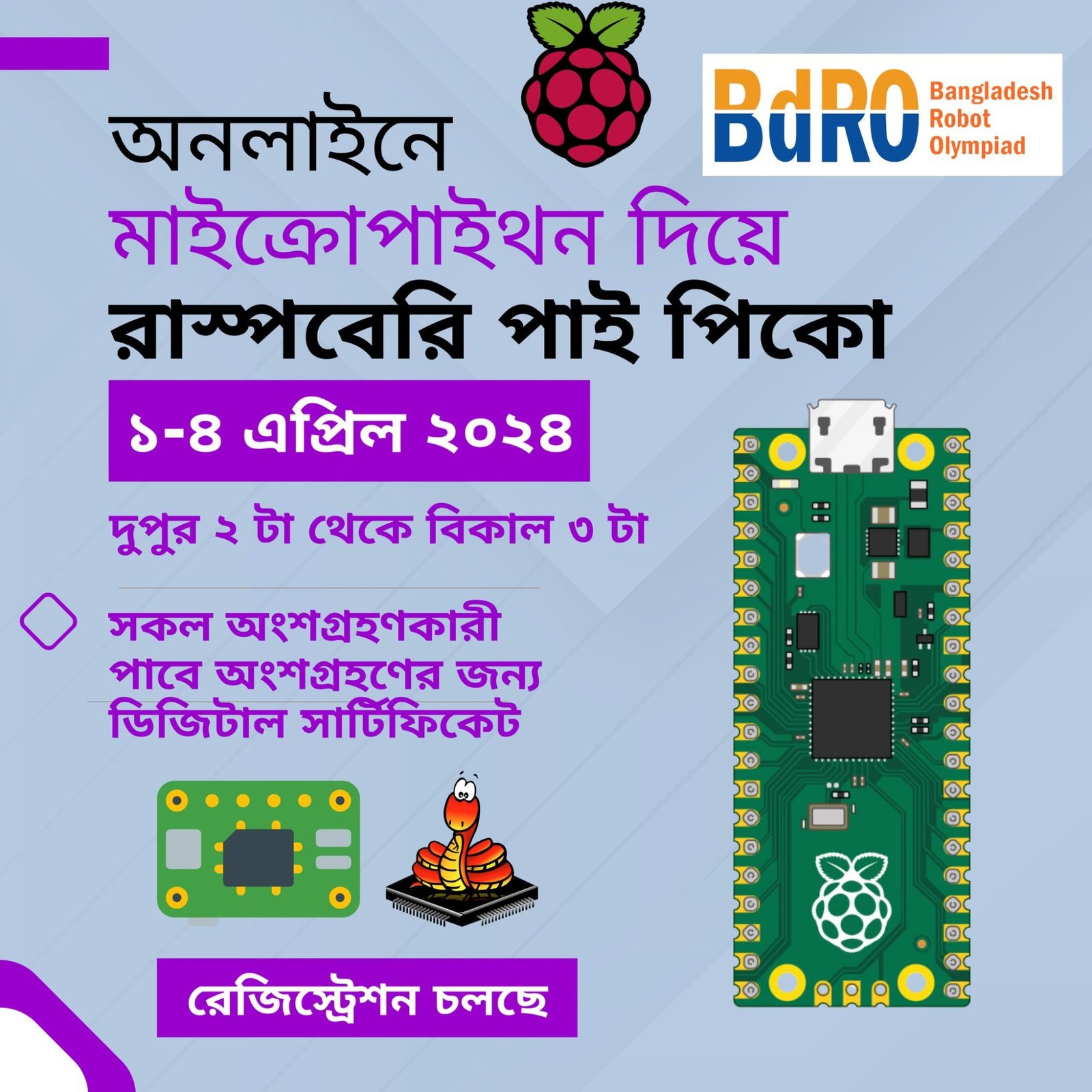 Online Micro Python Raspberry Pico Online Course April 2024